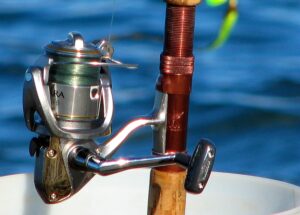 Berkley Fireline Braid 50lb 300m